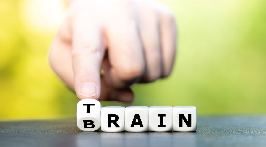 Brain training for kids: Dice letters spell out 'brain' and 'train'