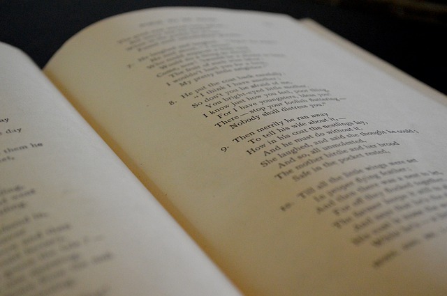 An image of a poem